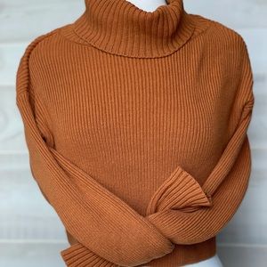 Wild Fable Cropped Cowl-Neck Sweater
